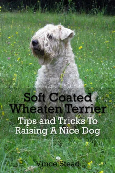 Soft Coated Wheaten Terrier Tips and Tricks To Raising A Nice Dog