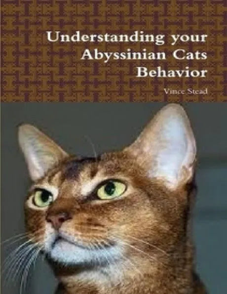 Understanding Your Abyssinian Cats Behavior
