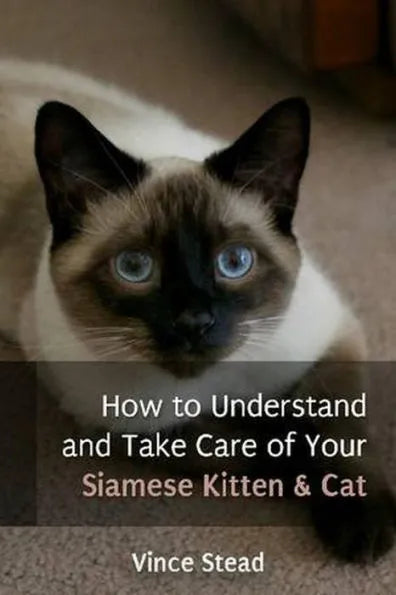How to Understand and Take Care of Your Siamese Kitten & Cat