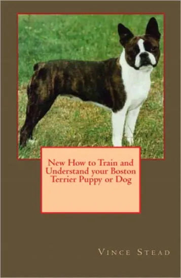 New How to Train and Understand your Boston Terrier Puppy or Dog