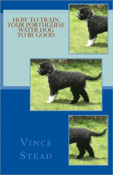 How to Train your Portuguese Water Dog to be Good