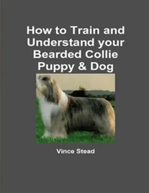How to Train and Understand Your Bearded Collie Puppy & Dog