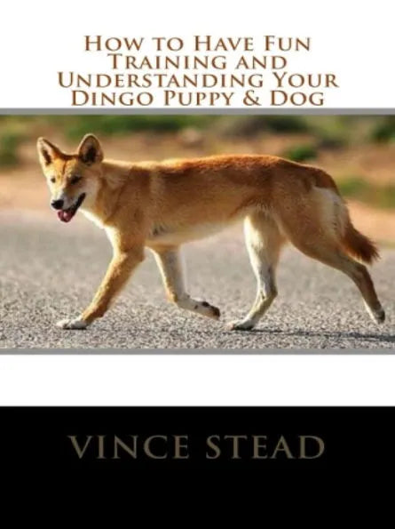 How to Have Fun Training and Understanding Your Dingo Puppy & Dog