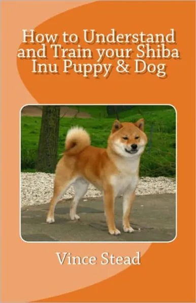 How to Understand and Train your Shiba Inu Puppy & Dog
