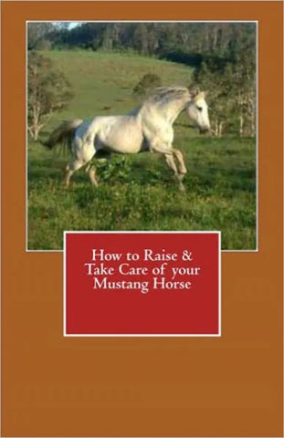 How to Raise & Take Care of your Mustang Horse