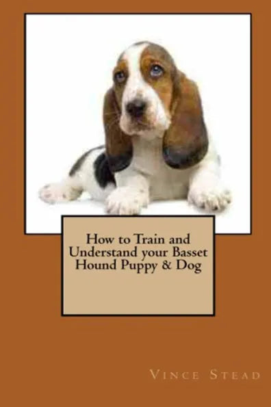 How to Train and Understand your Basset Hound Puppy & Dog