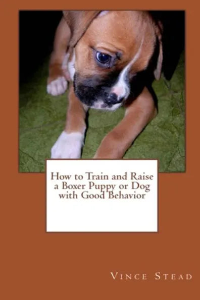 How to Train and Raise a Boxer Puppy or Dog with Good Behavior