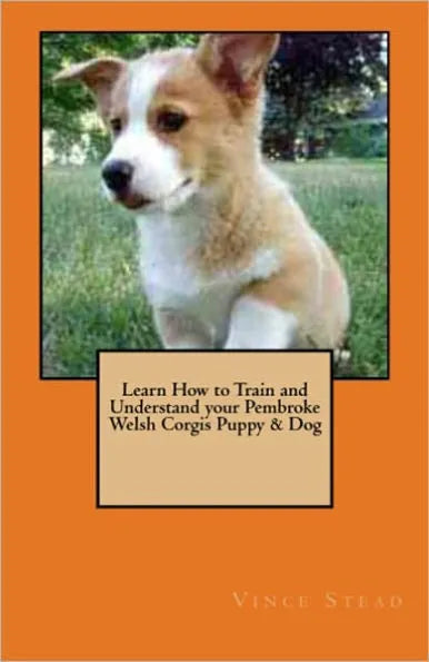 Learn How to Train and Understand your Pembroke Welsh Corgis Puppy & Dog